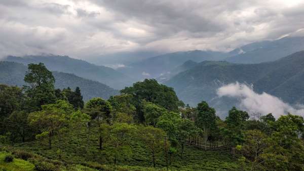 Darjeeling
