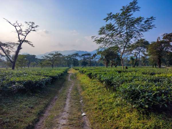 Siliguri Sightseeing, Dudhia